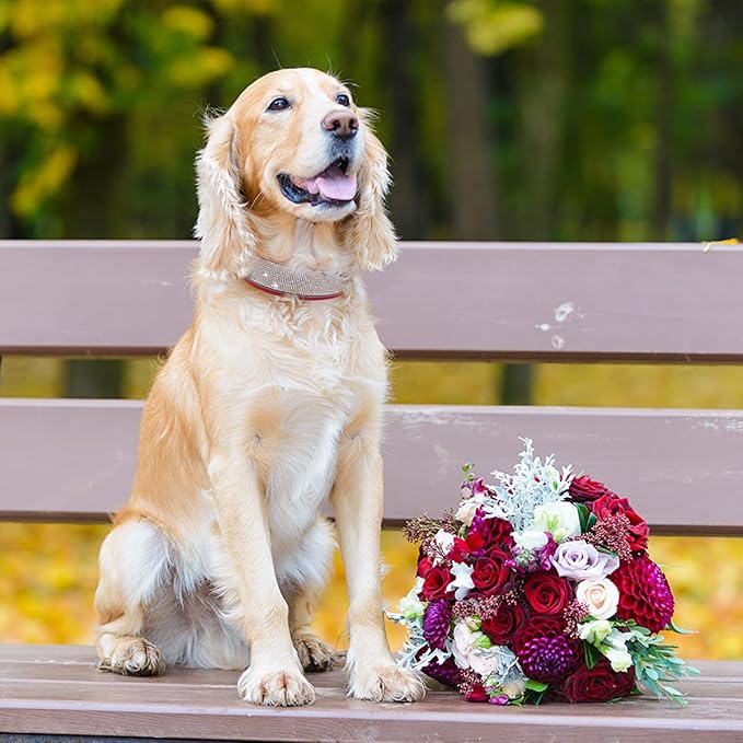 Bling Rhinestone Dog Collar Soft Comfortable Stylish Dog Collar with Bright Reflective Stripe Premium Adjustable Diamond Crystal Pet Collar for Small Medium and Large Dogs (M, Red)