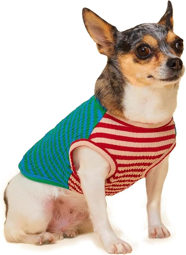 Little Beast Dog Clothes - Pet Clothes for Large, Medium, and Small Dogs (Dog Shirts Come in Multiple Colors and Styles) - Size: Large Dogs, Green/Blue