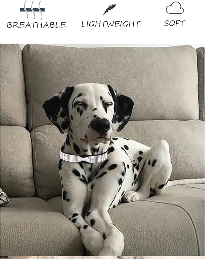 Dog Collar for Small Dogs, Adjustable Leather Suede Bling Dog Collars，Pink Dog Collar Cat Collar, Rhinestone Dog Collar (L, purple4)