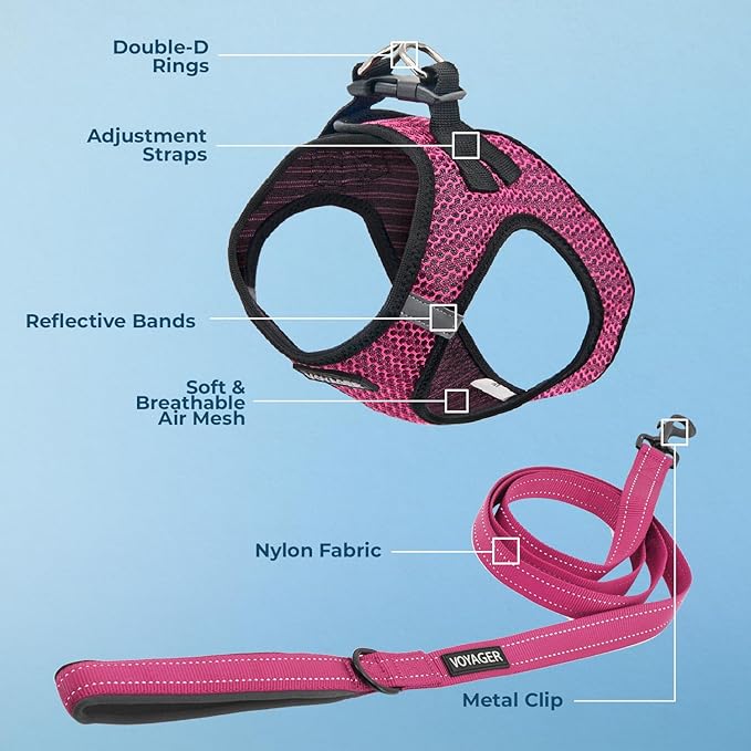 Voyager Step-in Air All Weather Mesh Harness and Reflective Dog 5 ft Leash Combo with Neoprene Handle, for Small, Medium and Large Breed Puppies by Best Pet Supplies - Fuchsia (2-Tone), M