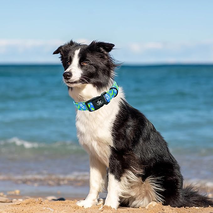 Elegant little tail Dog Collar, Pet Collar Blue Puppy Collar Plastic Durable Holiday Female or Male Cotton Adjustable Pet Collar with Quick Release Buckle for Large Dogs