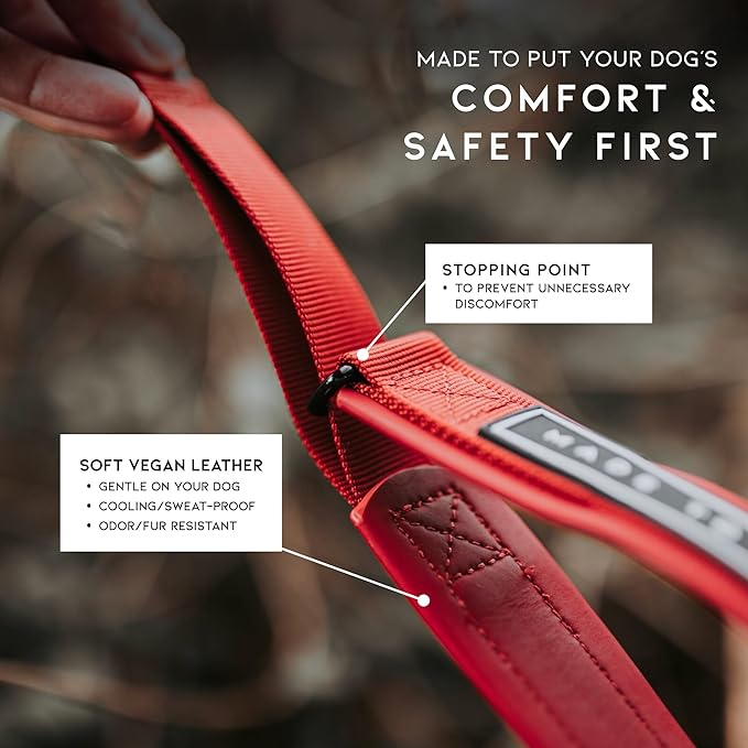 MADE TO ROAM Premium Everyday Dog Collar - Martingale Style No Pull Vegan Leather Collar, Heavy Duty and Lightweight for Small, Medium, Large Dogs (Florida Seaside, Size 10)