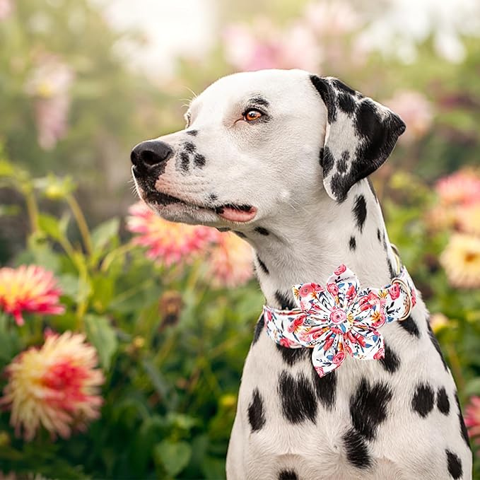 Lionheart glory Dog Collar Flowers Collar Floral Dog Collar with Flower Spring Summer Cute Collar Dog Boy or Girl Dog Collars Soft Durable Adjustable Dog Collars for Large Dogs