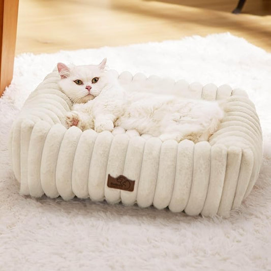 Bedsure Cute Dog Bed for Small Dogs & Cats - Washable Furry Cat Beds, Rectangle Orthopedic Corduroy Fleece Puppy Beds with Removable Zipper Cover, 20x19x6inches, Cream