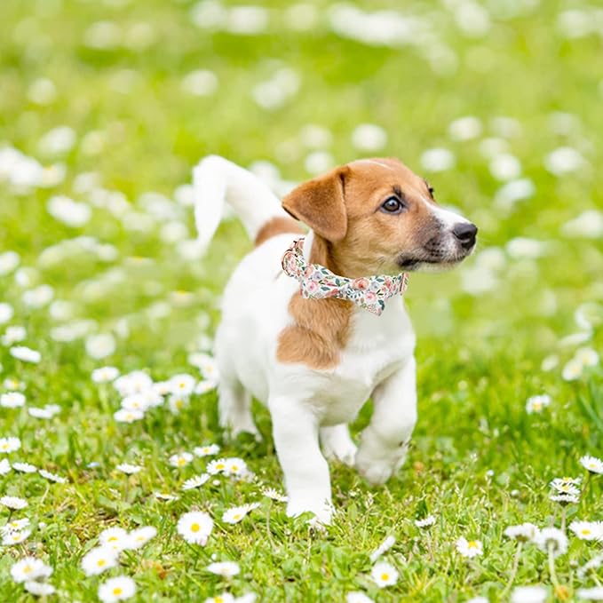 Adjustable Bow Tie Dog Collar Printed Cute Patterns Spring Summer Soft Pet Collars for Small Medium Large Dogs