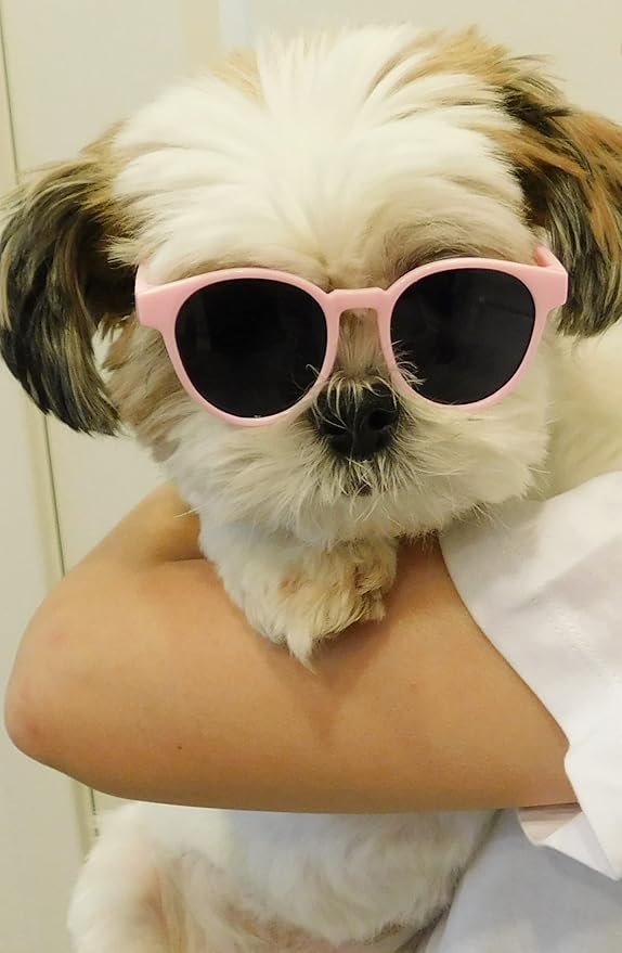 G014 Dog Cat Pet Panto Round Sunglasses for Small Breeds up to 15lbs (Panto Pink)