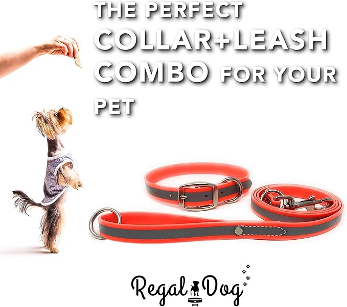 Regal Dog Products Small Orange Reflective Dog Collar and Leash Set - Waterproof Biothane Dog Collar with Heavy Duty Double Buckle, D Ring & 5ft Leash - Other Size for Medium & Large Dogs