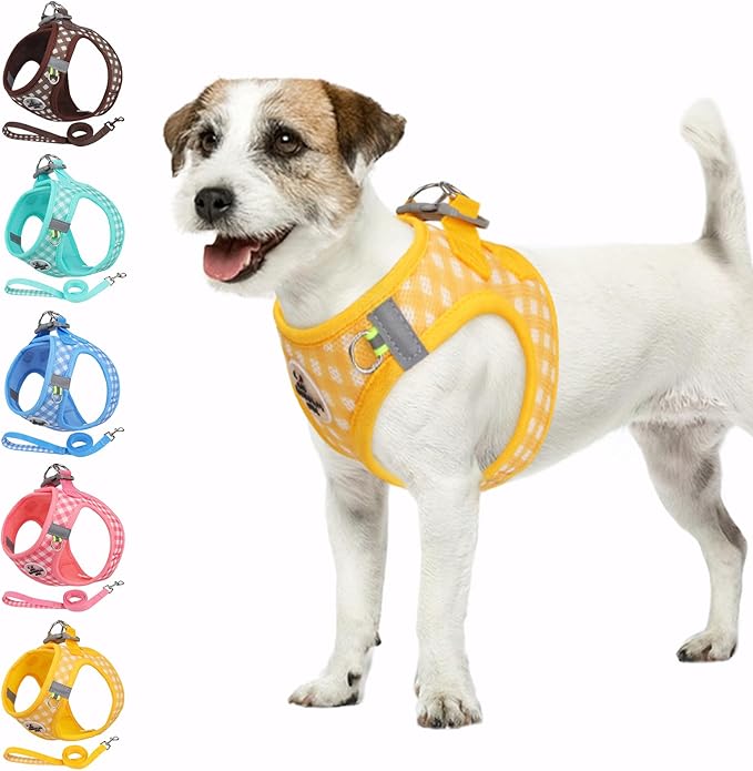 Gyuzh Dog Harness and Leash Set,Soft Mesh Breathable Small Dog Harness,Reflective Adjustable Puppy Harness,No Pull Pet Harness for Small Dogs and Cats