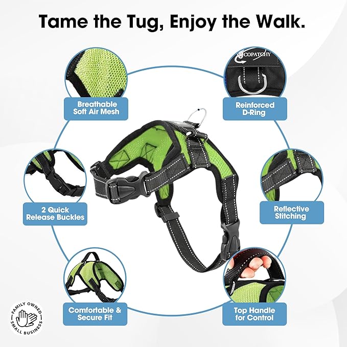 No Pull Reflective Adjustable Dog Harness with Handle- Comfortable Soft All Weather Mesh, Easy On Puppy Harness for Small Medium and Large Dogs (Green) X-Small