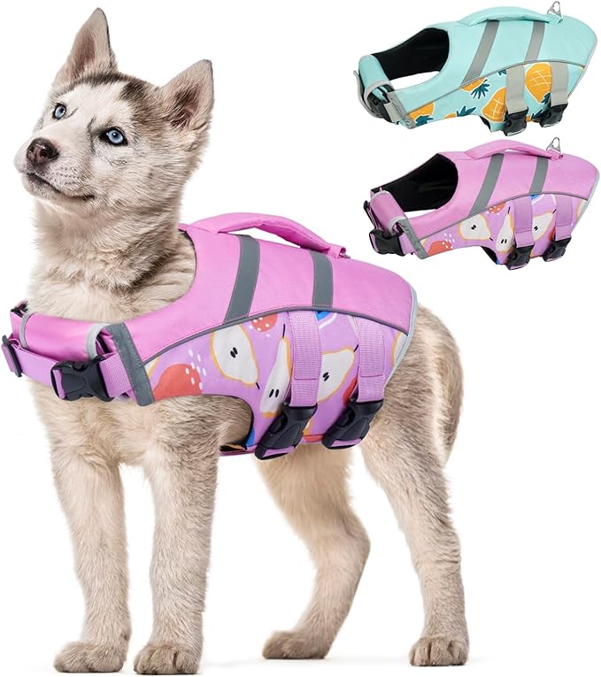 Kuoser Dog Life Jacket with Reflective Stripes, Puppy Water Vest for Swimming Boating, Adjustable High Visibility Dog PFD Vest with High Flotation Swimsuit, Pear M