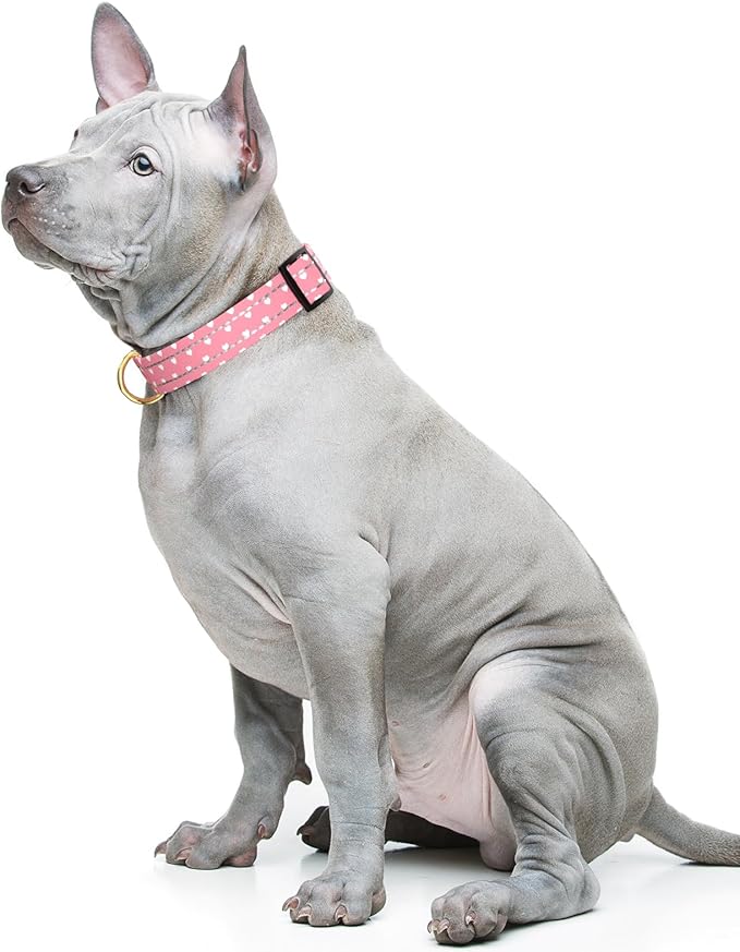 Reflective Dog Collar for Medium Dogs, Cute Adjustable Heavy-Duty Nylon Puppy Collars for Boy and Girl Female, Soft Pet Accessories with Quick Release Buckle, Neck 14-20", Pink Hearts