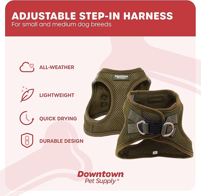 Downtown Pet Supply Step in Dog Harness for Small Dogs No Pull, Medium, Hunter Green - Adjustable Harness with Padded Mesh Fabric and Reflective Trim - Buckle Strap Harness for Dogs