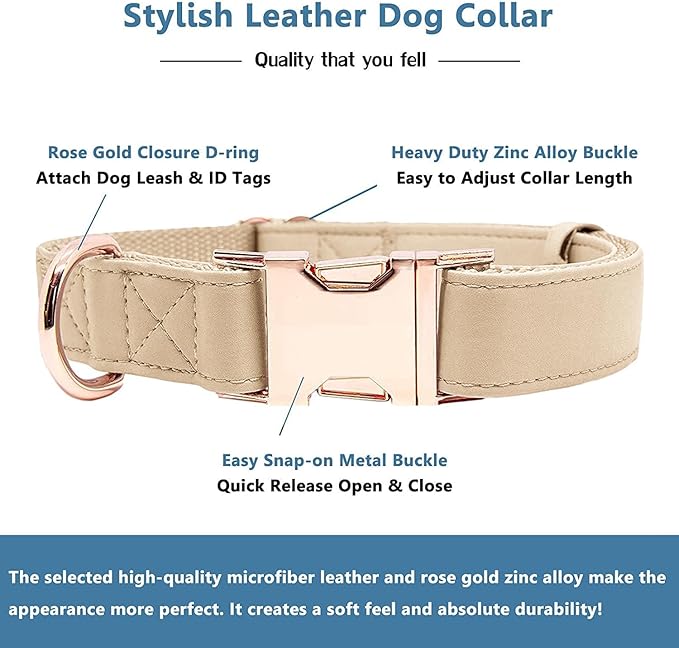 Soft Leather Dog Collar and Leash (6.6') Set - Stylish Rose Gold Heavy Duty Metal Buckle, 4 Adjustable Lengths Leash for Small Medium Large Dogs - Comfortable & Easy to Clean Beige S(12.2"-16.9")