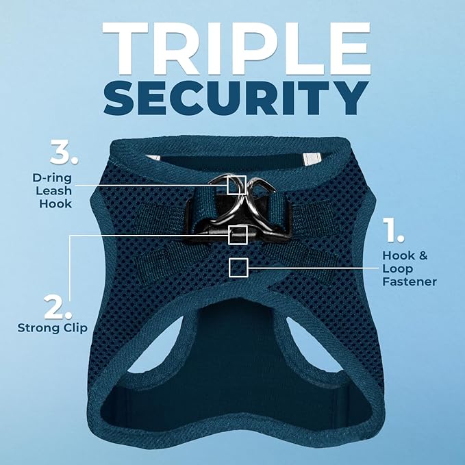 Voyager Step-in Air All Weather Mesh Harness and Reflective Dog 5 ft Leash Combo with Neoprene Handle, for Small, Medium and Large Breed Puppies by Best Pet Supplies - Set (Blue), XL