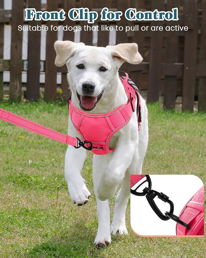 Reflective Pink Service Dog in Training Vest Harness Leash Set for Medium Dogs, Adjustable Heavy Duty Padded Dog Harness, with Front Clip and Metal Buckles Do Not Pet for Training, Hiking