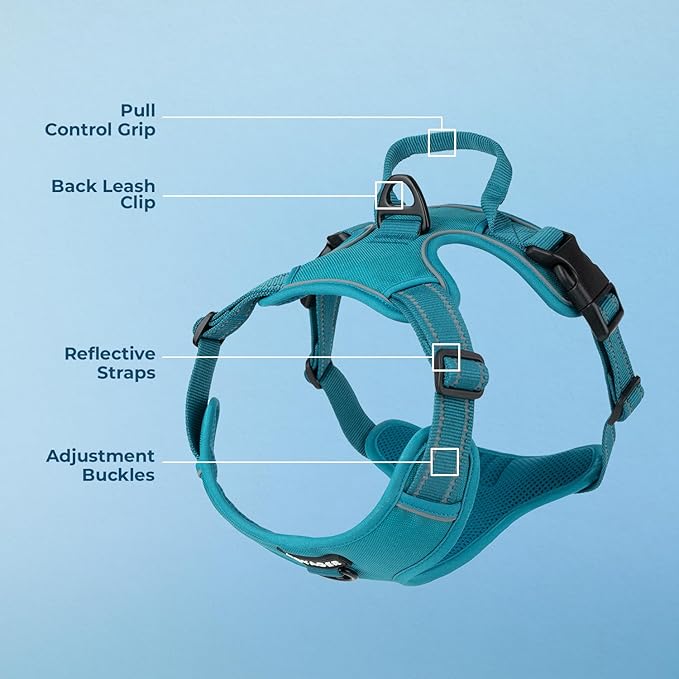 No Pull Dog Harness for Large Dogs, Dual Leash Attachments, Adjustable Soft but Strong Pet Harness with 3M Reflective Technology, Turquoise Nylon, L (Chest: 25-30")