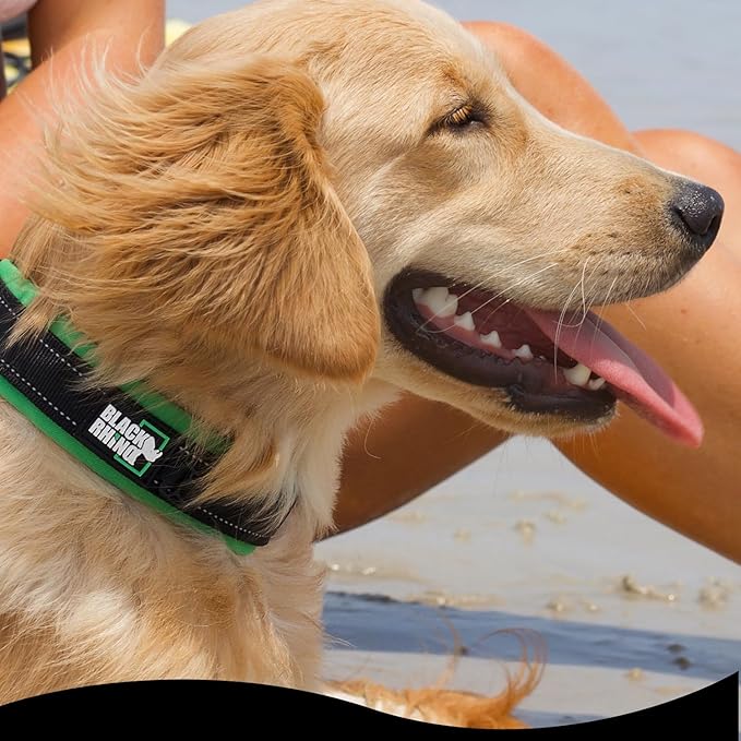 Black Rhino - The Comfort Collar Ultra Soft Neoprene Padded Dog Collar for All Breeds - Heavy Duty Adjustable Reflective Weatherproof (Small, Blue/Grey)