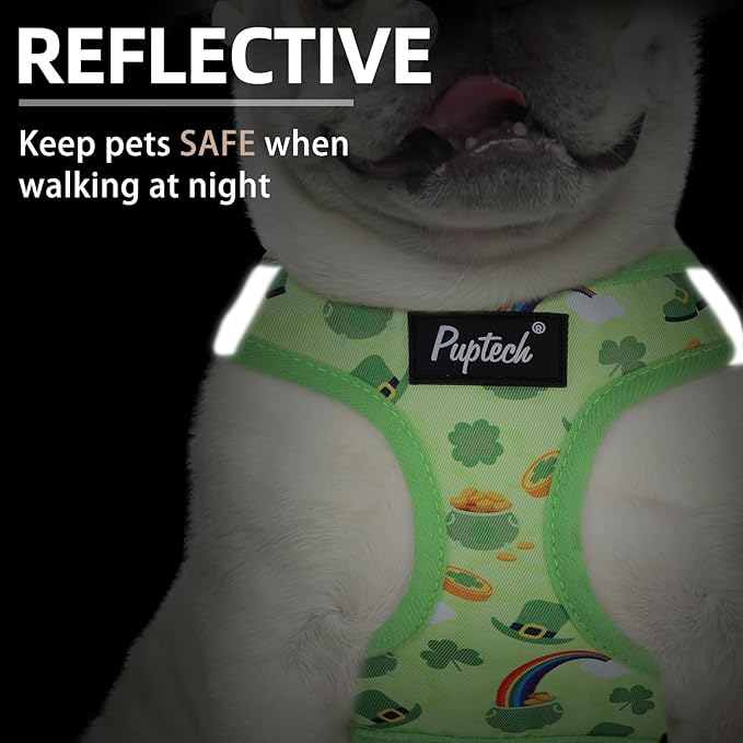 PUPTECK Dog Harness and Leash Set for Small Medium Dogs No Pull Step-in Soft Mesh Puppy Cat Vest Harnesses Reflective at Night, St. Patrick's Green, M