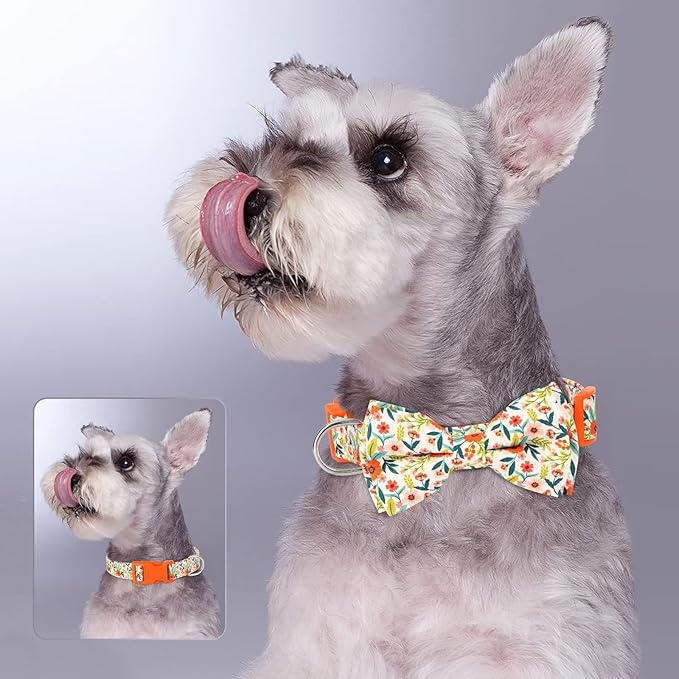 Didog Floral Dog Collar with Bow, Cute Girl Dog Collars with Detachable Bowtie, Soft & Comfy Spring Summer Dog Collar for Small Medium Large Dogs Gift Holiday, Orange, M