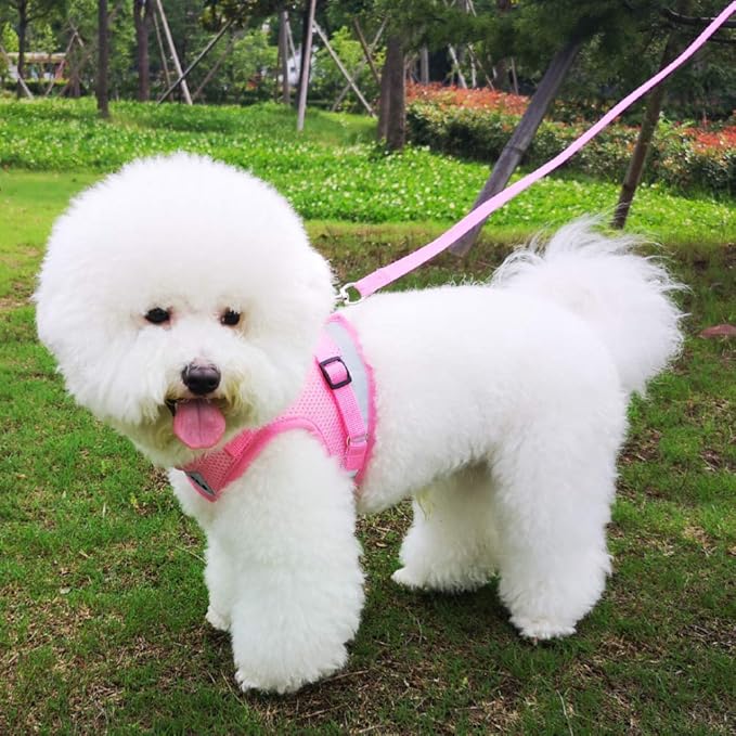 FEimaX Dog Harness and Leash Set for Walking, Soft Mesh Adjustable Easy Control Lightweight Cat Vest Harnesses with Reflective Strips, Escape Proof Small Dogs Cats Vests (Pink, Small)