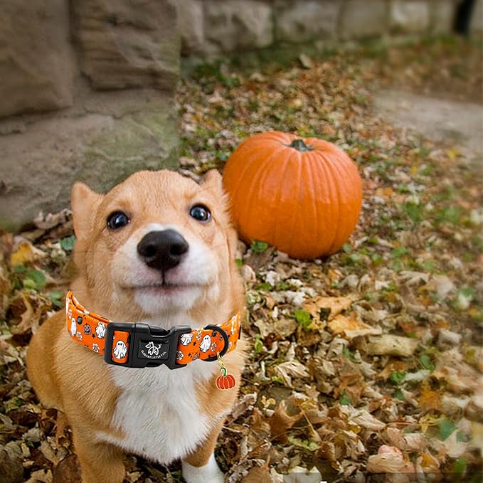 Elegant little tail Fall Dog Collar, Pumpkin Pet Collar Yellow Male Cute Puppy Adjustable Cotton Pet Collars with Quick Release Buckle for Small Medium Large Dogs