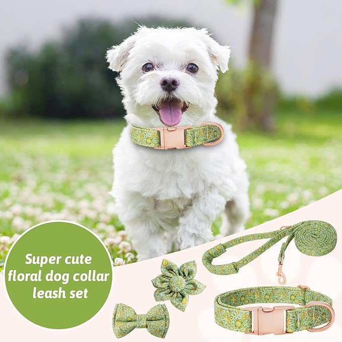 Dog Collar and Leash Set Girls Adjustable Puppy Collars with Planet Bow Tie for Small Medium Large Female Dogs, Green Planet, L