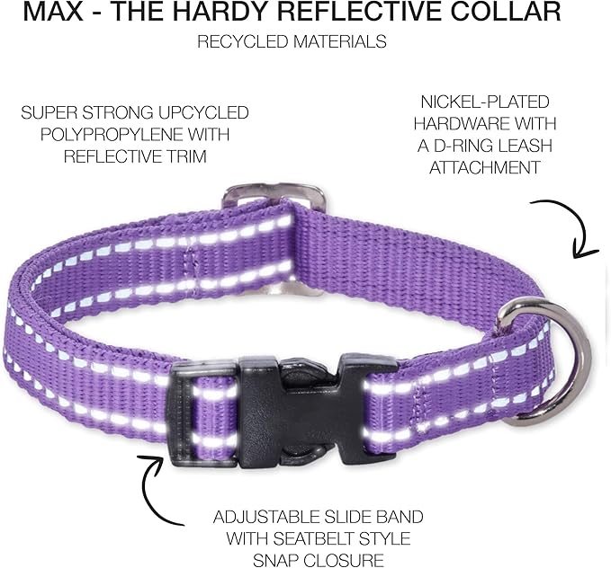 Adjustable Reflective Dog Pet Collar for Small, Medium and Large Dogs, Purple, Medium