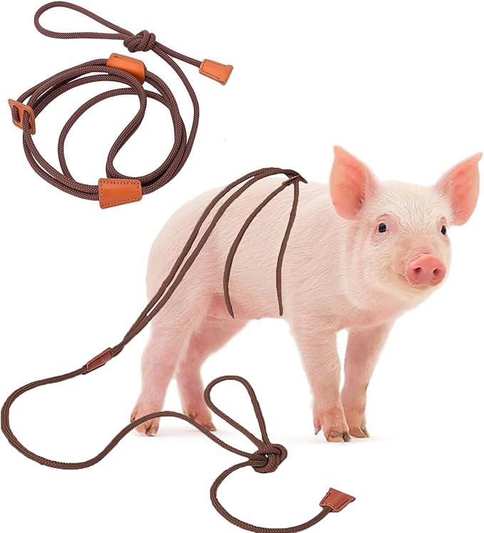 Pig Harness & Leash, Escape Prevention Adjustable Rope, All in One Design, All Life Stages Small to Medium Mini Pigs-5 Feet Long-Brown