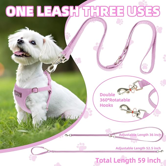 PUPTECK Dog Harness and Leash Set Small Sized, Step-in Cute Puppy Harness, Soft Lightweight Padded Vest, Escape Proof No Pull Pet Harnesses Easy for Walking, Purple, S