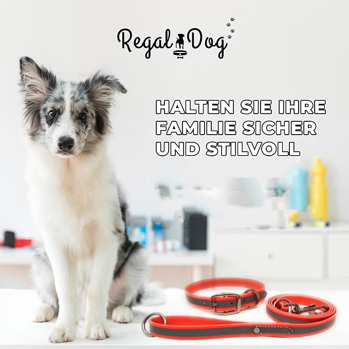 Regal Dog Products Large Orange Reflective Dog Collar and Leash Set - Waterproof Biothane Dog Collar with Heavy Duty Double Buckle, D Ring & 5ft Leash - Other Size for Medium & Large Dogs