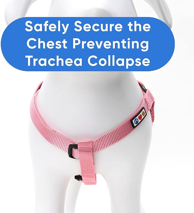 Pawtitas Solid Color Step in Dog Harness or Vest Harness Dog Training Walking of Your Puppy Harness Extra Small Dog Harness Pink Cherry Blossom Dog Harness