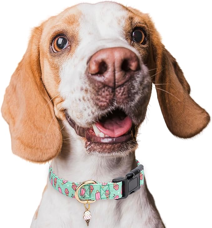 Cotton Dog Collar,Adjustable Cute Puppy Collar with Moon Patterned Design for Small Medium Large Dogs,Soft and Fancy Pet Collar with Safety Buckle for Girl Boy Dogs (Green Ice Cream, L)