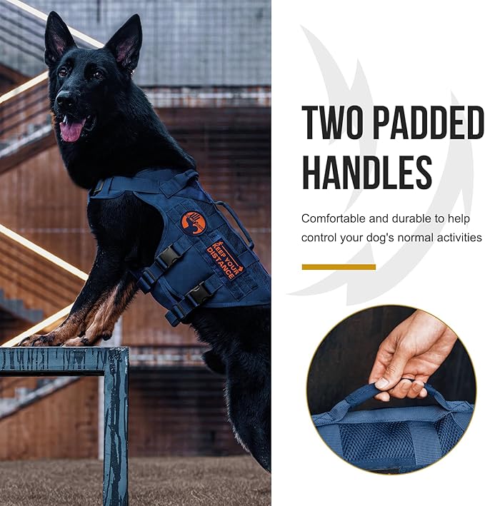 OneTigris Tactical Dog Harness for Small Dog with Handles, Mesh Design Service Dog Vest Breathable Military Dog Molle Vests with Handles, Harness for Walking Hiking Training (Blue, XS)