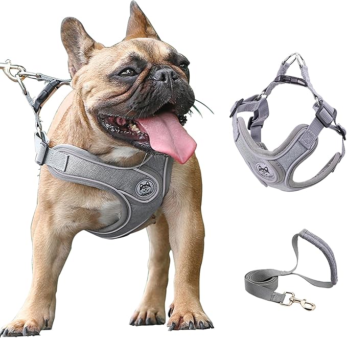 Small Dog Harness and Leash Set,No Pull Adjustable Step in Soft Mesh Vest Harness,Easy Walk Reflective Pet Harness with Padded Handle for Walking Training Small Medium Large Dogs and Cats (Grey, S)