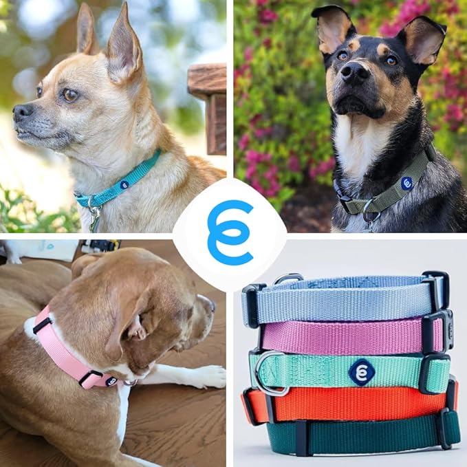 Blueberry Pet Dog Collar - Adjustable Nylon Dog Collars for Medium Dogs | Marinara Blue | Eco-Friendly, Durable, No Chew, Reflective Puppy Collar with D-Ring | Essentials for Active Dogs