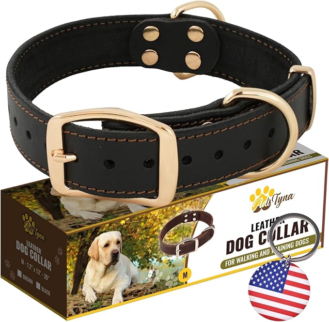 ADITYNA Heavy Duty Leather Dog Collar for Medium Dogs - Soft and Strong Leather Collar for Walking, and Training (Black - Gold Colored Buckle, Medium: Fit 13" - 20" Neck)
