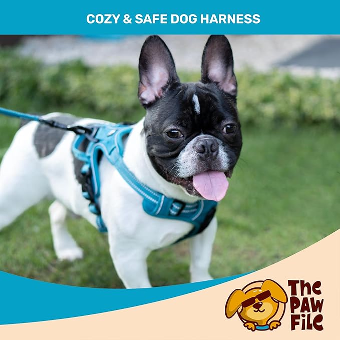 Dog Harness and Leash Set - No Pull Vest & Reflective Leash with Foam Handle, Adjustable Oxford Halter, for Walking & Training - Includes 150 Poop Bags & Bone-Shaped Dispenser - Blue, S