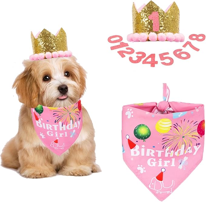 ADOGGYGO Dog Bandana Hat Set for Birthday Party Supply, Boy Girl Puppy Birthday Scarf for Small Dog (Small, Pink)