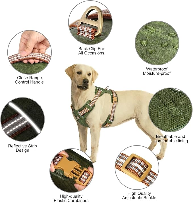 Beirui Dog Harness for Large Dogs, Stylish Oxford Leather Pet Vest with 2 Leash Clips, Adjustable Reflective Soft Padded No Pull Harness with Easy Control Handle for Walking, Chest 31-44"