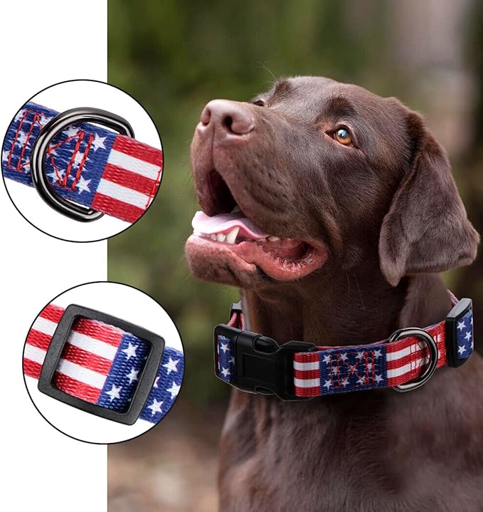 American Flag Dog Collar Independence Day Fourth of July The Great America Dog Collars Large