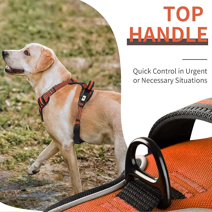 Dog Harness, No-Pull Pet Breathable Harness, Adjustable Soft Padded Dog Vest with 2 Leash Clips, Reflective No-Choke Pet, Easy Control Handle for Large Dogs, Orange, S