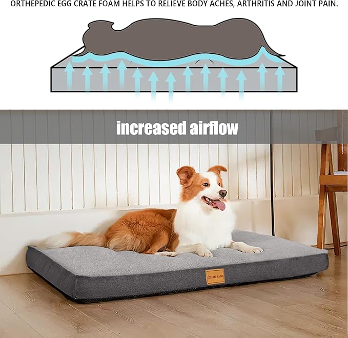 Patas Lague Orthopedic Dog Bed for Small Dogs, Soft Comfortable Waterproof Egg Crate Foam Small Pet Beds Mat with Removable Washable Cover, 20''X15'' Grey