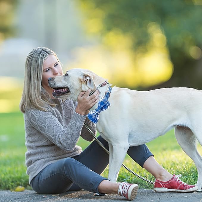 Lionheart glory Dog Collar, Boy Dog Collar Bowtie Blue Adjustable Dog Bowtie Collar Bows Dog Collar for Medium Dogs