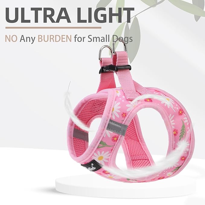 PUPTECK Dog Harness and Leash Set for Small Medium Dogs No Pull Step-in Soft Mesh Puppy Cat Vest Harnesses Reflective at Night, Pink Floral, S