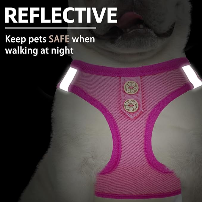 PUPTECK Dog Harness and Leash Set for Small Medium Dogs No Pull Step-in Soft Mesh Puppy Cat Vest Harnesses Reflective at Night, Denim Pink L