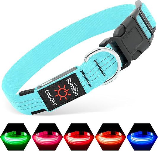 Illumifun LED Dog Collar, Reflective Light Up Collars for Small Dog, USB Rechargeable Pet Collar Light for Dogs Walking Camping (BlueⅢ, Small)