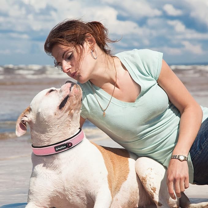 PetiFine Neoprene Padded Dog Collar, Heavy Duty Comfort Dog Collar with Durable Metal Buckle, Reflective Adjustable Belt Buckle Dog Collars for Small Medium Large Dogs(11”-14.5“, Pink)