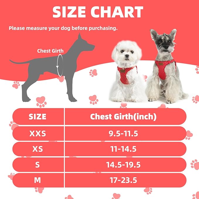 PUPTECK Dog Harness and Leash Set Small Sized, Step-in Cute Puppy Harness, Soft Lightweight Padded Vest, Escape Proof No Pull Pet Harnesses Easy for Walking, Red, S