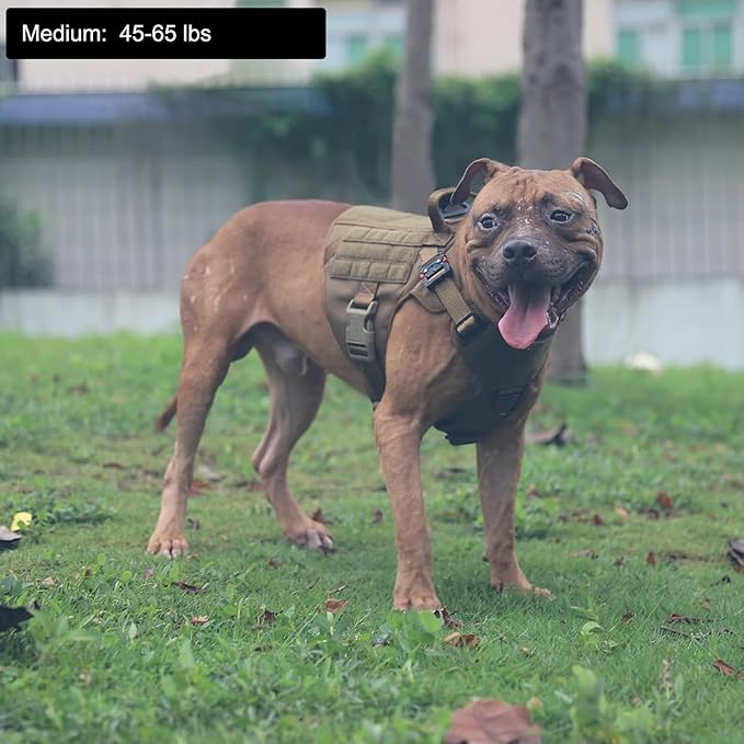 ICEFANG Tactical Dog Harness,Medium Size, 2X Metal Buckle,Working Dog MOLLE Vest with Handle,No Pulling Front Leash Clip,Hook and Loop Panel