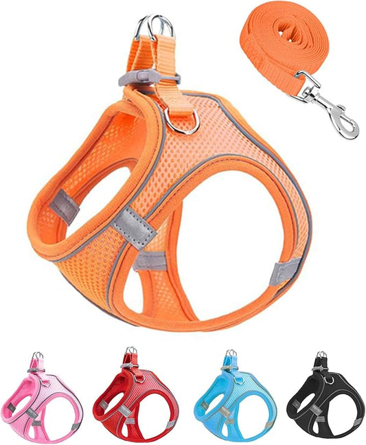 XXXS Orange Soft Mesh Dog Harness and Leash Set,No Escape Puppy Harnesses for Training Walking， Reflective Adjustable Puppy Vest for Small Medium Dogs, Cats (Orange, XXXS)